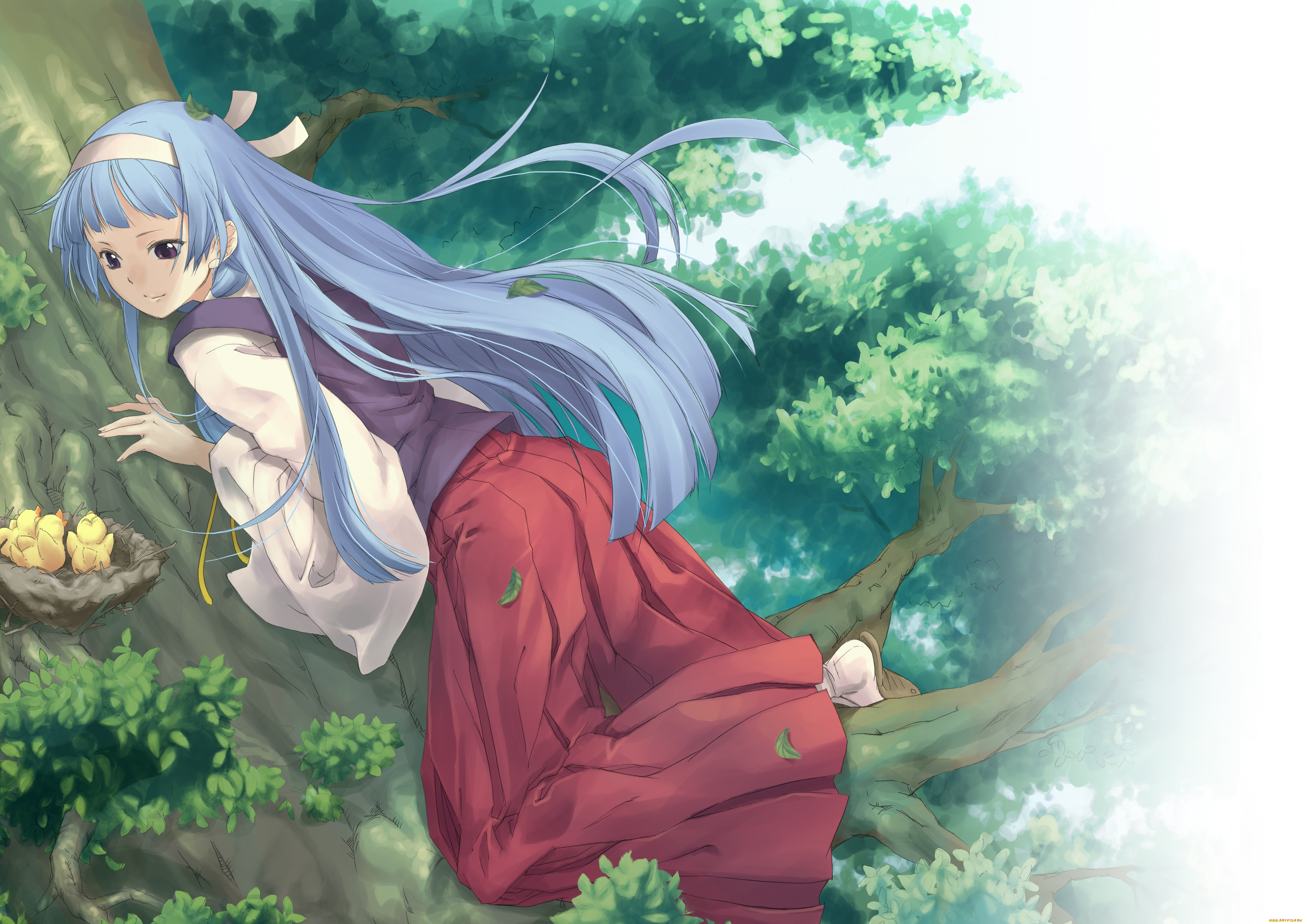 , kannagi, , , nagi, crazy, shrine, maidens, , , , pua